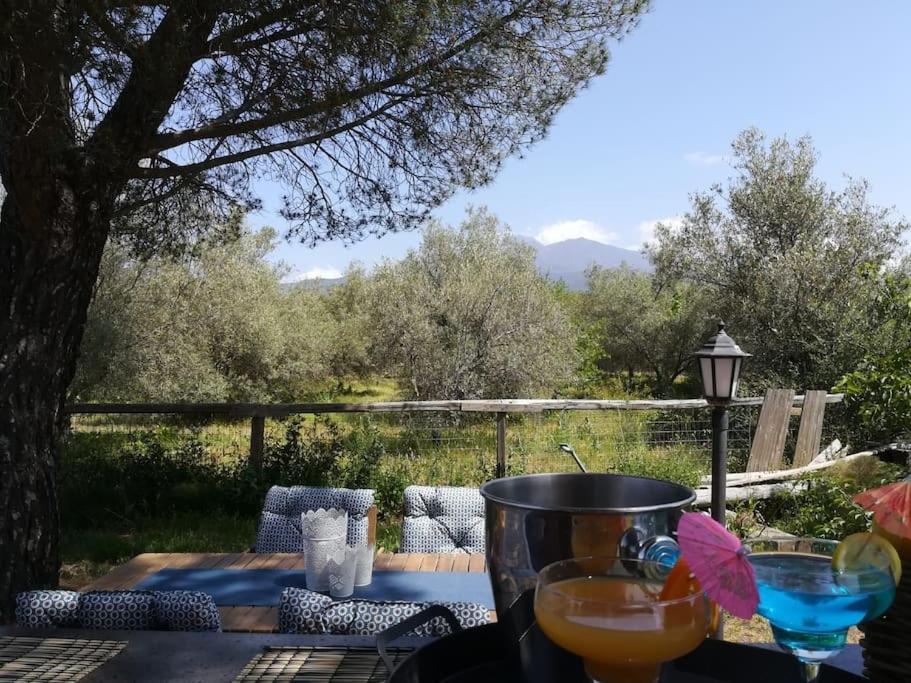 Villa Segreta, Mount Etna بيلباسو المظهر الخارجي الصورة