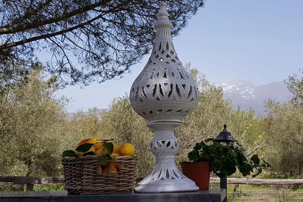 Villa Segreta, Mount Etna بيلباسو المظهر الخارجي الصورة