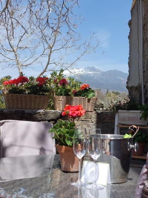 Villa Segreta, Mount Etna بيلباسو المظهر الخارجي الصورة